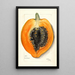 Carica papaya - Mary Daisy Arnold — quadro incorniciato alla parete