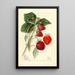 Fragaria Dunlap - Mary Daisy Arnold — quadro incorniciato alla parete
