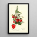 Fragaria Epsey - Mary Daisy Arnold — quadro incorniciato alla parete
