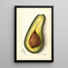 Persea Family - Mary Daisy Arnold — quadro incorniciato alla parete