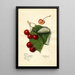 Prunus avium Reine Hortense - Mary Daisy Arnold — quadro incorniciato alla parete