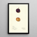 Prunus domestica Toka - Mary Daisy Arnold — quadro incorniciato alla parete