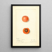 Prunus mume Barry - Mary Daisy Arnold — quadro incorniciato alla parete