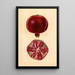 Punica granatum Grenade - Mary Daisy Arnold | Reproduction — quadro incorniciato alla parete