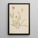 Vesce alpine Astragalus bourgovii - Mary Vaux Walcott — quadro incorniciato alla parete