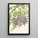Glycine americana Kraunhia frutescens - Mary Vaux Walcott — quadro incorniciato alla parete