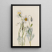 Pavot de Merriam Arctomecon merriami - Mary Vaux Walcott — quadro incorniciato alla parete