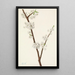 Prunier Chickasaw Prunus angustifolia - Mary Vaux Walcott — quadro incorniciato alla parete