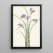 Clusterlily Hookera pauciflora - Mary Vaux Walcott — quadro incorniciato alla parete