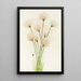 Linaigrette Eriophorum chamissonis - Mary Vaux Walcott — quadro incorniciato alla parete