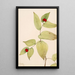 Clochettes de fée Disporum trachycarpum - Mary Vaux Walcott — quadro incorniciato alla parete