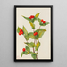 Clochettes de fée Disporum hookeri - Mary Vaux Walcott — quadro incorniciato alla parete