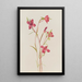 Adieu al primavera Godetia amoena lilja - Mary Vaux Walcott — quadro incorniciato alla parete