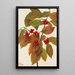 Cornouiller à fleurs Cornus florida - Mary Vaux Walcott — quadro incorniciato alla parete