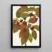 Fruit de cornouiller Cornus florida - Mary Vaux Walcott — quadro incorniciato alla parete