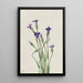 Gentiane Gentiana holopetala - Mary Vaux Walcott — quadro incorniciato alla parete