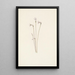 Monotrope uniflore Thalesia uniflora - Mary Vaux Walcott — quadro incorniciato alla parete