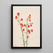 Gilia arizonica - Mary Vaux Walcott — quadro incorniciato alla parete