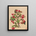 Viorne d'America - Mary Vaux Walcott — quadro incorniciato alla parete