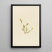 Hieracium gracile - Mary Vaux Walcott — quadro incorniciato alla parete