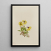 Arnica de Lake Louise Arnica louisiana - Mary Vaux Walcott — quadro incorniciato alla parete