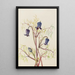 Clématite hirsute Clematis hirsutissima - Mary Vaux Walcott — quadro incorniciato alla parete