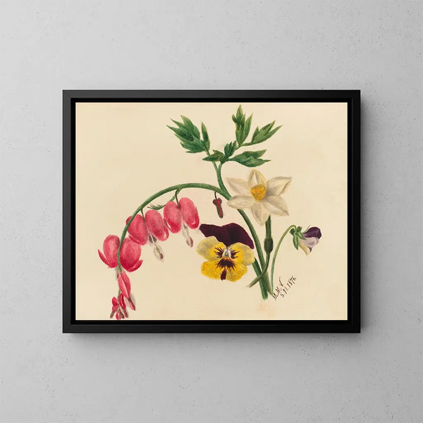 Fiori misti - Mary Vaux Walcott — quadro incorniciato alla parete