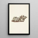 Pyxidanthera barbulata - Mary Vaux Walcott — quadro incorniciato alla parete