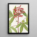 Marronnier rouge - Mary Vaux Walcott — quadro incorniciato alla parete