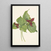 Trille rosso - Mary Vaux Walcott — quadro incorniciato alla parete