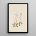 Saxifrage à tige rouge - Mary Vaux Walcott — quadro incorniciato alla parete