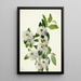 Saule des rochers Salix vestita - Mary Vaux Walcott — quadro incorniciato alla parete