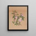 Rosa malva Hibiscus moscheutos - Mary Vaux Walcott — quadro incorniciato alla parete