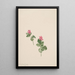 Rubus articus - Mary Vaux Walcott — quadro incorniciato alla parete