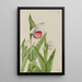 Sabot della Vergine Cypripedium reginae - Mary Vaux Walcott — quadro incorniciato alla parete