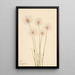 Linaigrette gracile Eriophorum chamissonis - Mary Vaux Walcott — quadro incorniciato alla parete