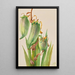 Baïonnette espagnole Yucca baccata - Mary Vaux Walcott — quadro incorniciato alla parete
