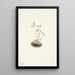 Saxifrage tachetée Saxifraga bronchialis - Mary Vaux Walcott — quadro incorniciato alla parete