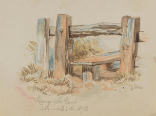 Style - Mary Vaux Walcott — vista dell’opera