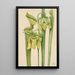 Sarracénie gialla Sarracenia flava - Mary Vaux Walcott — quadro incorniciato alla parete