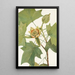 Tulipier de Virginie Liriodendron tulipifera - Mary Vaux Walcott — quadro incorniciato alla parete
