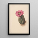 Cactus tête de dinde Echinocerus perbellus - Mary Vaux Walcott — quadro incorniciato alla parete