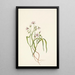 Claytonia de Virginie - Mary Vaux Walcott — quadro incorniciato alla parete