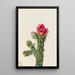 Cholla bâton de marche - Mary Vaux Walcott — quadro incorniciato alla parete