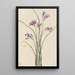 Jacinthe sauvage Brodiaea pulchella - Mary Vaux Walcott — quadro incorniciato alla parete