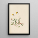 Dryade jaune Dryas drummondii - Mary Vaux Walcott — quadro incorniciato alla parete