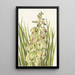 Yucca Yucca baileyi - Mary Vaux Walcott — quadro incorniciato alla parete