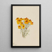 Zinnia Zinnia grandiflora - Mary Vaux Walcott — quadro incorniciato alla parete