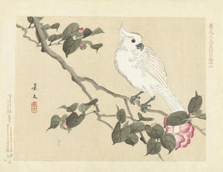 Camélia e cacatua con cresta gialla - Matsumura Keibun — vista dell’opera