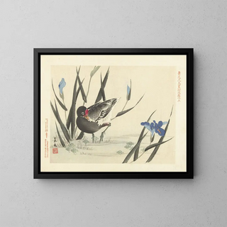 Matsumura Keibun - Japanese iris and common moorhen.webp